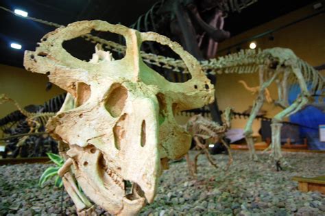 Thermopolis Dinosaur Museum – BodesWell