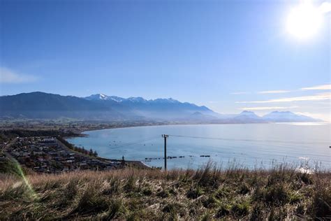 Kaikoura Peninsula Walkway: How to Take the Fun Clifftop Walk