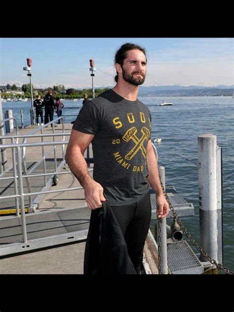 545 best images about Seth Rollins on Pinterest | Posts, Dean ambrose ...