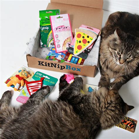 Official KitNipBox | Multi-Cat Box | Monthly Cat Subscription Boxes Filled with Cat Toys, Kitten ...