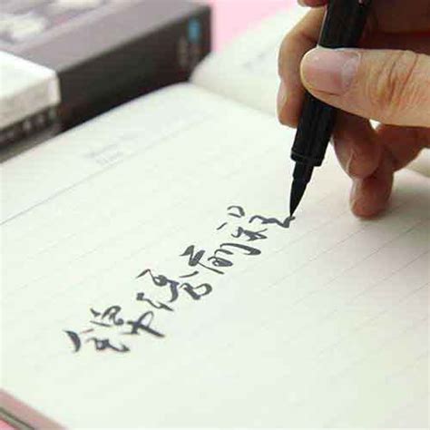 3 Set - Japanese Calligraphy Pens – NotebookTherapy