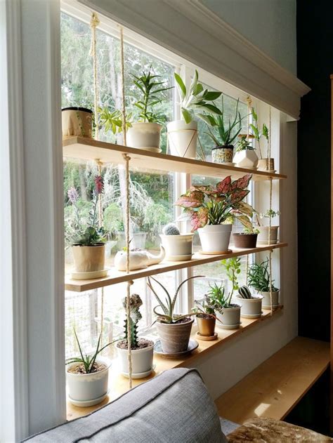 Hanging Plant Shelves | Room with plants, House plants decor, Window plants