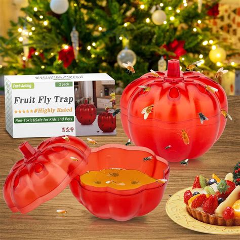 Buy Fruit Fly Traps for Indoors,Gnats Killer Indoor Trap,Safe and ...