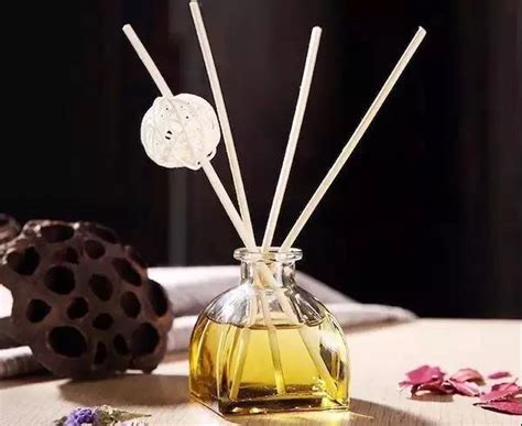 10 Types Of Diffuser And Find The Best | Fruitful Kitchen