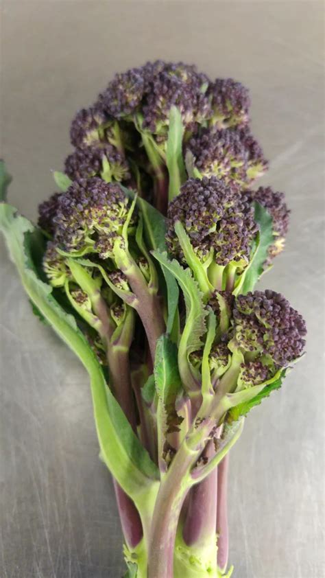 Top 25 Sweet Baby Broccoli Recipes - Home, Family, Style and Art Ideas