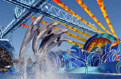 The Not-So-Disney Magical Blog: Blue Horizons - The Complete Dolphins Show at SeaWorld