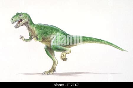 Palaeozoology - Jurassic period - Dinosaurs - Eustreptospondylus - Art ...