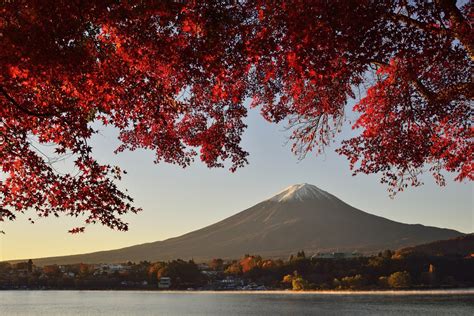 landscape, Mountain, Lake, Autumn, Fuji, Honshu, Japan, Volcano ...