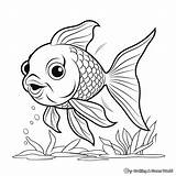 Fish Coloring Pages  Free & Printable sketch template