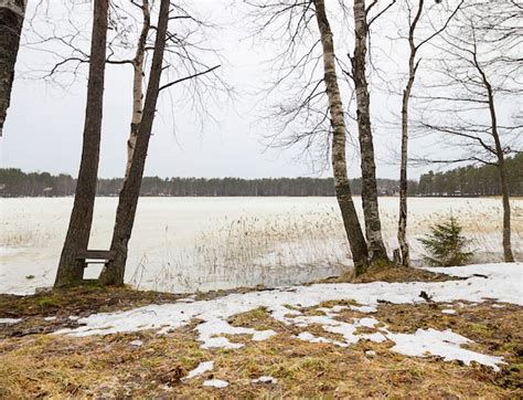 Premium Photo | Early spring with melting ice and snow