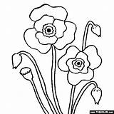 Flower Coloring Pages  Color Flowers Online sketch template