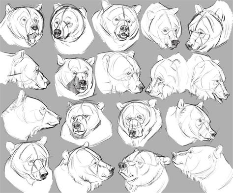 The style of bear face he actually has. | Bear face drawing, Bear sketch, Bear character design