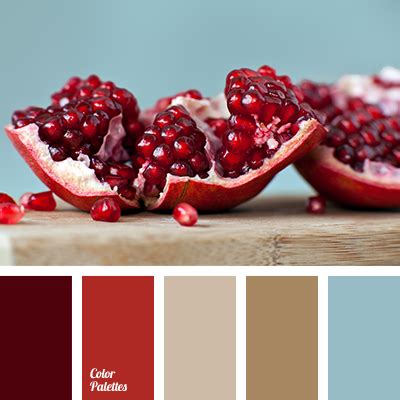 pomegranate colors | Color Palette Ideas