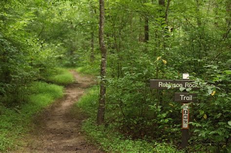 Reedy Creek Park & Nature Preserve - shawn jennings photography