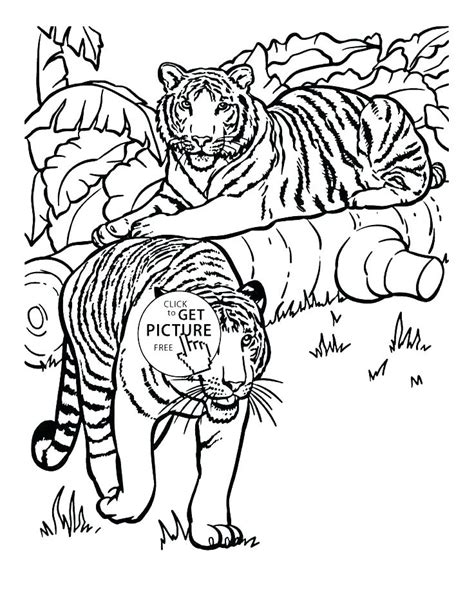 Realistic Tiger Coloring Pages at GetColorings.com | Free printable colorings pages to print and ...