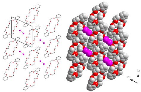 Iodine Molecules Included in the Structure of Dibenzo-24-Crown-8, (I2 ...