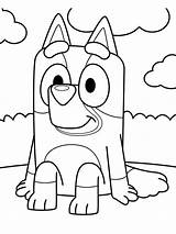 Bluey coloring Pages  ColoringLib sketch template