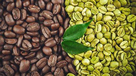 Choosing the Best Green Coffee Beans Wholesale for Your Cafe