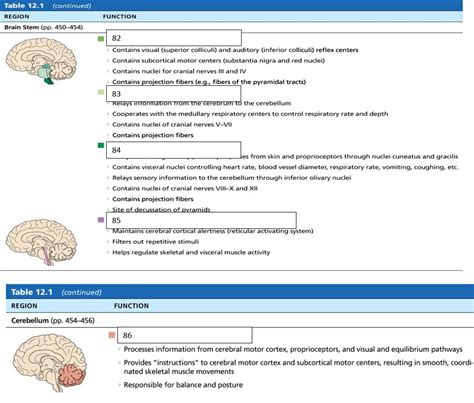 table 2 Diagram | Quizlet