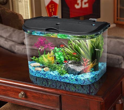 Pin on Aquarium Ideas