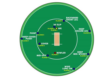 Field placements for a leg-spinner across formats - Crictoday