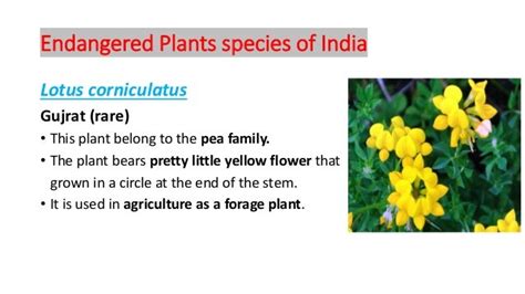 singh vinay- red data book and endangered plant species