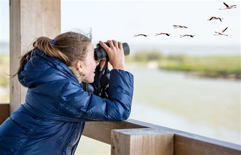 7 tips for getting your kids interested in birdwatching - Cottage Life