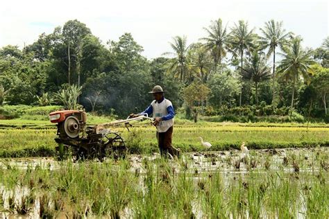 Waduh, Sektor Pertanian yang Strategis Malah Minim Dukungan Anggaran Pemerintah - Jurnal Soreang