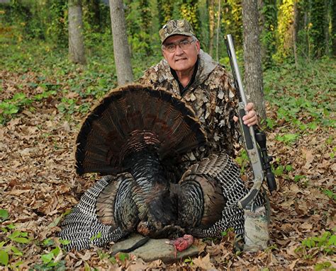 Wild Turkeys Facts and Hunting | The Poultry Guide