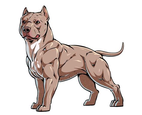 Pitbull Png Vector Psd And Clipart With Transparent Background For | My ...