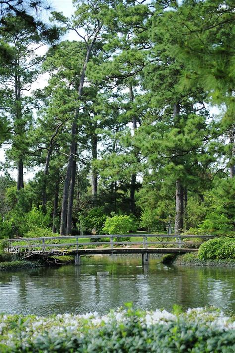 Hermann Park's Japanese Garden serves as city oasis