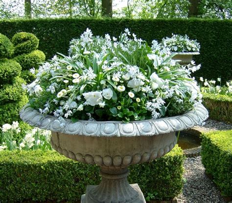 White Blooming Container Gardens