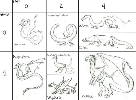 Dragon Types by Helix-Wing on DeviantArt