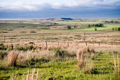 Rolling Plains landscape