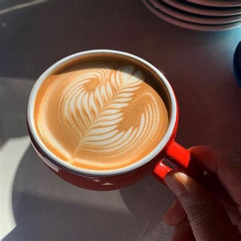 rosetta latte art tutorial - Fetchingly Blawker Custom Image Library