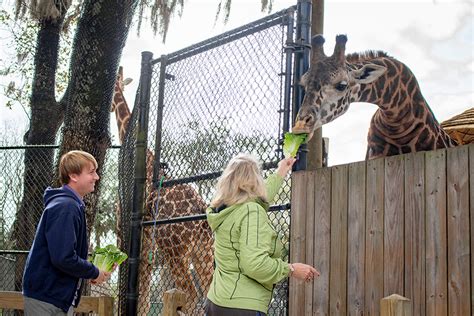 Central Florida Zoo & Botanical Gardens in Sanford, FL