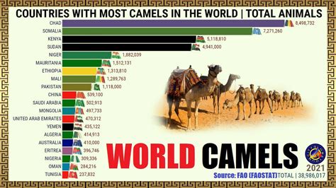 COUNTRIES WITH MOST CAMELS IN THE WORLD | TOTAL ANIMALS - YouTube