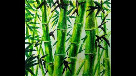 HOW TO DRAW BAMBOO-BAMBOO DRAWING STEP BY STEP-OIL PASTEL DRAWING-REALIS... | Oil pastel ...