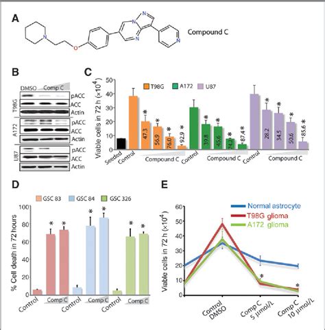 [PDF] The AMPK Inhibitor Compound C Is a Potent AMPK-Independent Antiglioma Agent | Semantic Scholar