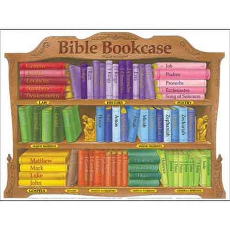 Bible Bookcase Wall Chart Laminated | bibleclassworkshop.com