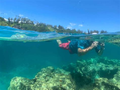 Snorkeling – Sail Bermuda