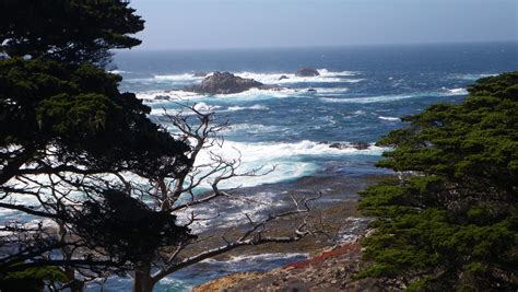 Point Lobos State Park CA State Parks, Places Ive Been, Bucket List, Coastline, Point, Water ...