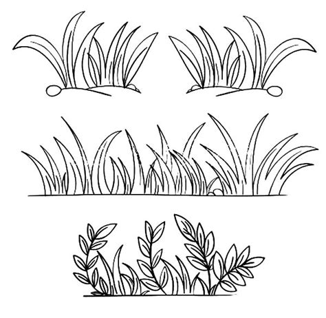 Grass Grow So Well Coloring Pages : Color Luna | Grass drawing, Grass clipart, Drawings