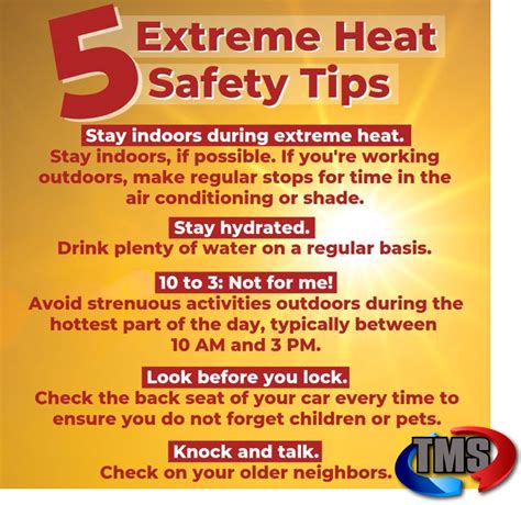 Stay Safe With These Extreme Heat Safety Tips! - Total Mechanical Systems