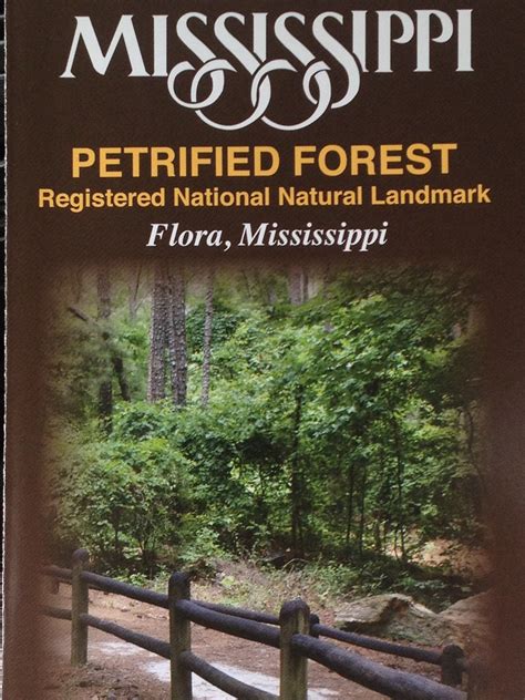 Mississippi Petrified Forest | DM | Flickr