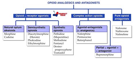 Classification of Opioid Analgesics and Antagonists - Pharmacy Freak