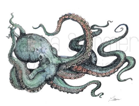 Octopus Illustration in Water-color Paint and Black Pen - Etsy