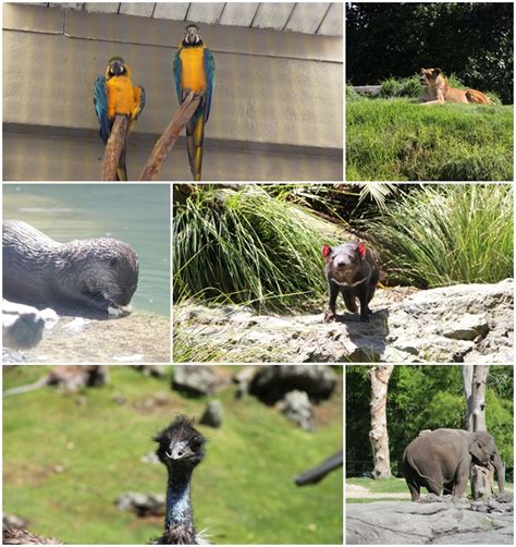 Visit Auckland Zoo These Holidays!