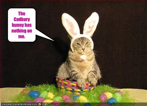 The Cadbury bunny has nothing on me. - Cheezburger - Funny Memes | Funny Pictures