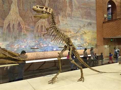 Maleevosaurus Orlov Paleontological Museum Moscow | Jurassic world ...